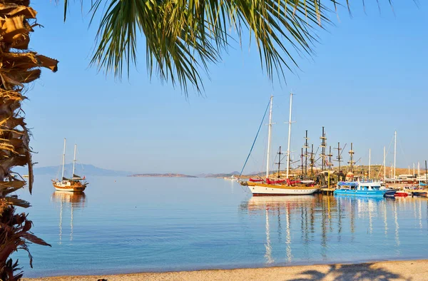 Vista Playa Bodrum Mar Egeo Casas Blancas Tradicionales Flores Marina — Foto de Stock