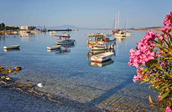 View Gumusluk Bodrum Marina Sailing Boats Yachts Bodrum Town City — Stock Photo, Image