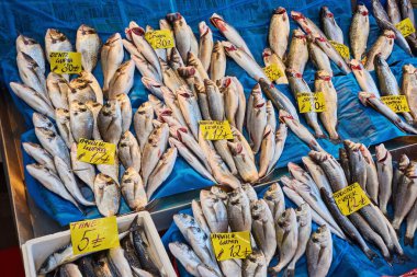 İstanbul 'daki tezgahta çeşitli balıklar.
