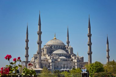 İstanbul 'daki Mavi Cami veya Sultanahmet Camii. Yazın güzel Mavi Cami manzarası. İstanbul 'un eski merkezindeki ünlü tarihi caminin güzel manzarası..