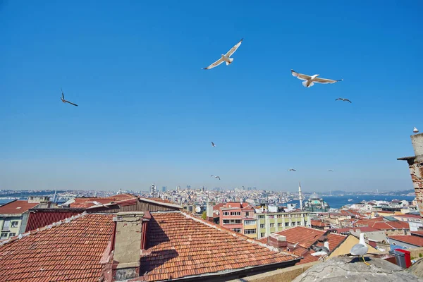 Stanbul Hayret Verici Manzarası Stanbul Tarihi Merkezinin Güzel Manzarası Yağmurlu — Stok fotoğraf