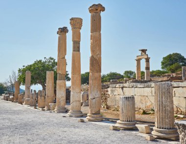 Antik Yunan kenti Efes 'teki Celsus Kütüphanesi' ne uzanan sütunları olan mermer bir ara sokakta dağlar ve arka planda açık mavi gökyüzü, Türkiye 'nin Celsus Kütüphanesi üzerinde tek bir küçük bulut var.