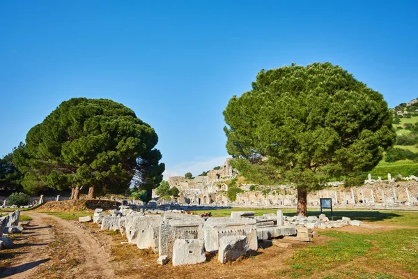 Vue Des Arbres Des Ruines Ville Grecque Antique Ephèse Près — Photo