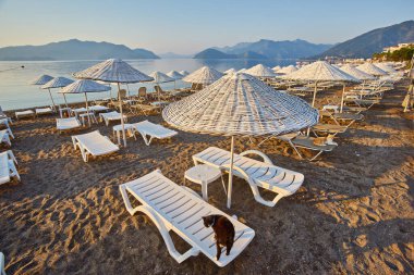 Sabahın köründe ıssız bir plaj. Şafakta kumsalda. Boş güneşlik. İnsansız plaj. Marmaris, Türkiye.