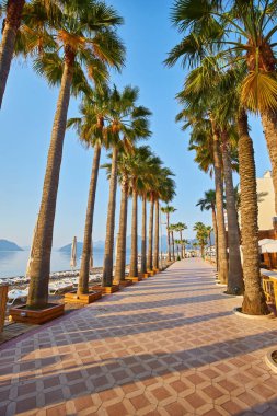 Marmaris 'te palmiye ağaçları olan güzel bir gezinti yeri. Türkiye.