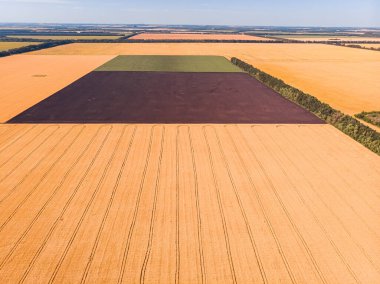 İnsansız hava aracı pov, mısır tarlaları, soya fasulyesi ve yüksek açılı buğday tarlalarından ekilmiş arazinin güzel kırsal arazi deseni