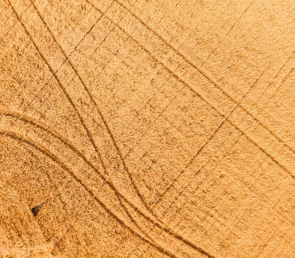 Luchtfoto Van Tarweveld Sporen Van Trekker Prachtige Agrarische Textuur Achtergrond — Stockfoto