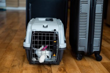 Mısır gevreği halkaları, böğürtlen ve bal ile merkez ofisteki dizüstü bilgisayarın yanında. Sağlıklı atıştırma molası.