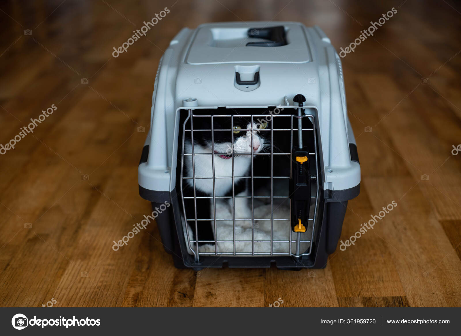 plastic pet carrier