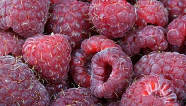 bir sürü ahududu var.