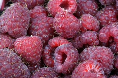 bir sürü ahududu var.