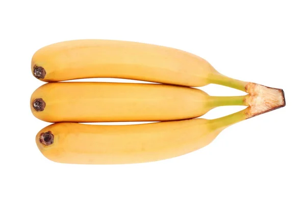 Veel gele banaan geïsoleerd — Stockfoto