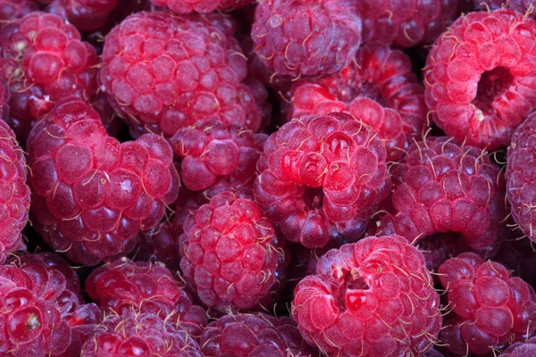 bir sürü ahududu var.