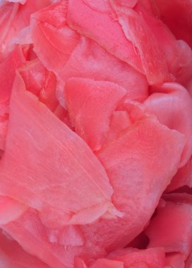Gündüz pembe zencefil