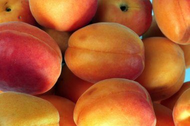 birçok turuncu gününde şeftali