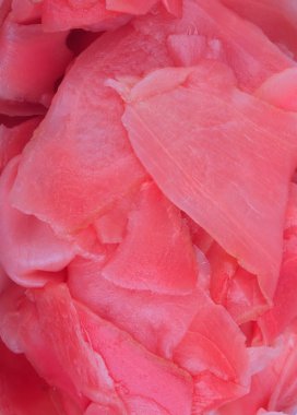 Gündüz pembe zencefil