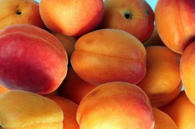 birçok turuncu gününde şeftali