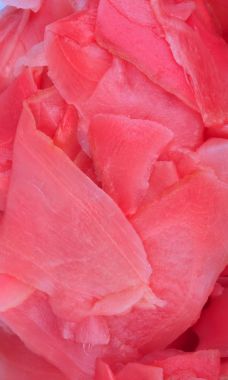 Gündüz pembe zencefil