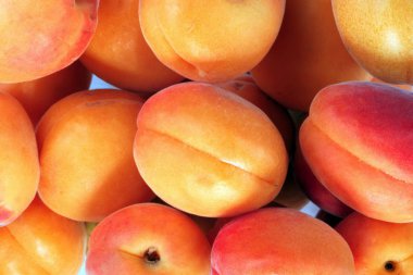 birçok turuncu gününde şeftali