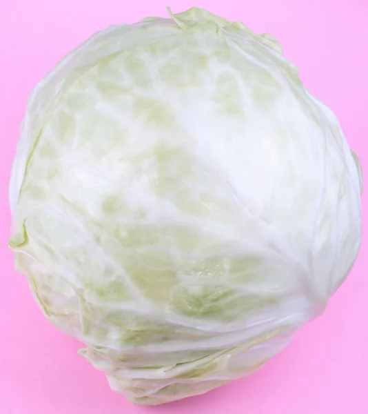 Head of White Cabbage on Pink Background — Stock Photo, Image