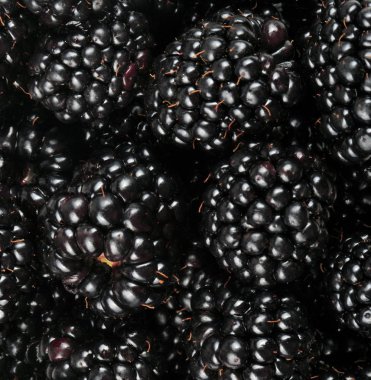 bir sürü BlackBerry