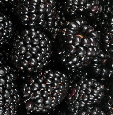 bir sürü BlackBerry