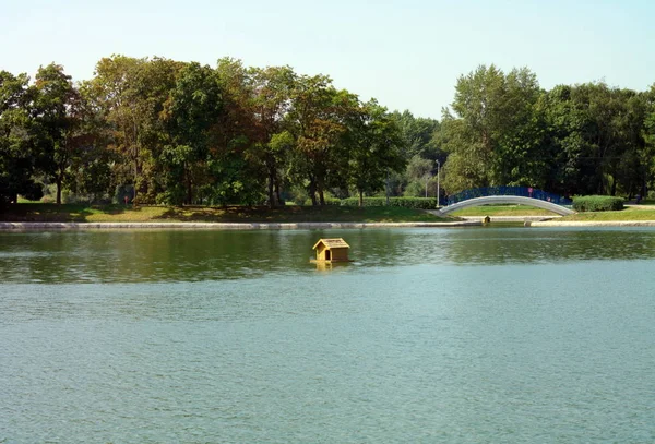 Verão no parque da cidade — Fotografia de Stock