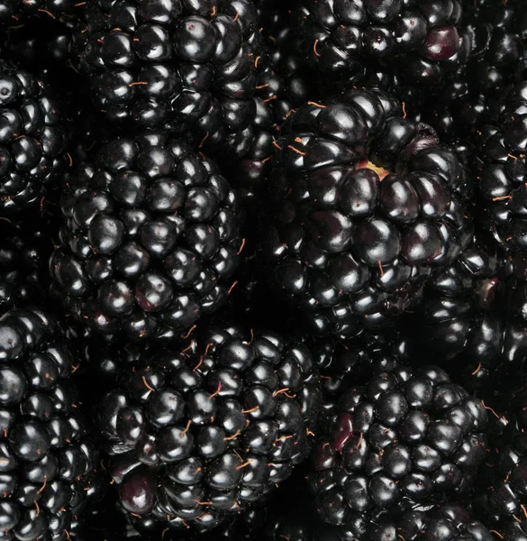 bir sürü BlackBerry