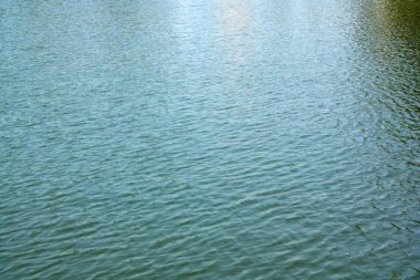 Şehir park su birikintisi su dalgalanma