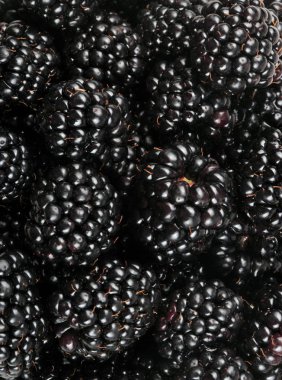 bir sürü BlackBerry