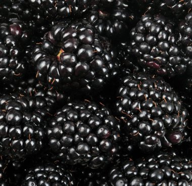 bir sürü BlackBerry