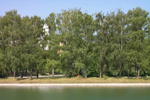 Sommer im Stadtpark — Stockfoto