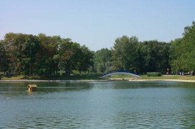 Şehir parkında yaz