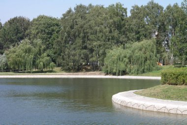 Şehir parkında yaz