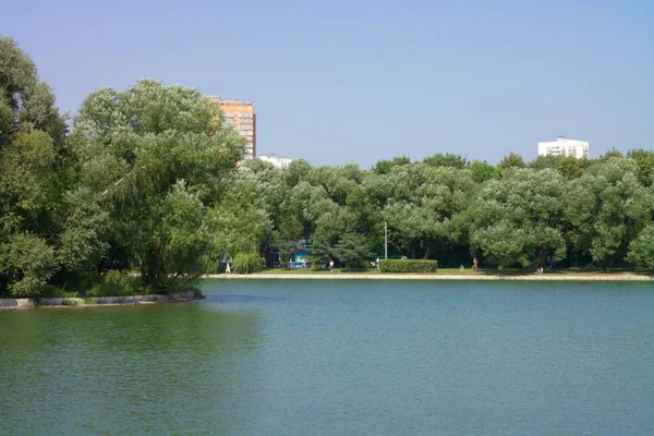 Şehir parkında yaz