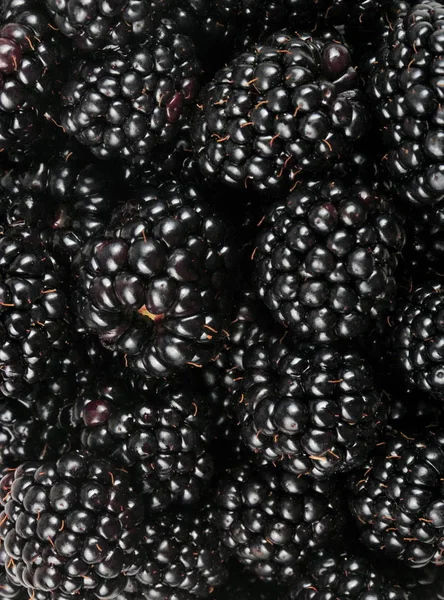 bir sürü BlackBerry