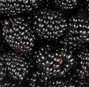 bir sürü BlackBerry