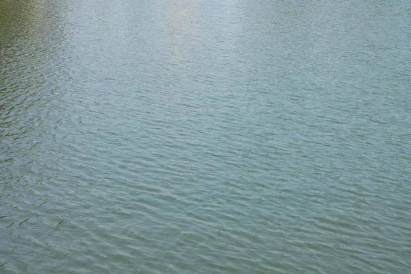 Рябь на воде в городском пруду — стоковое фото