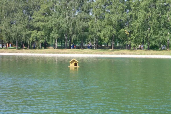 Été dans le parc de la ville — Photo