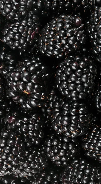 bir sürü BlackBerry