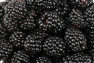 bir sürü BlackBerry