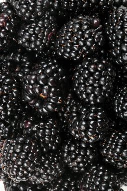 bir sürü BlackBerry