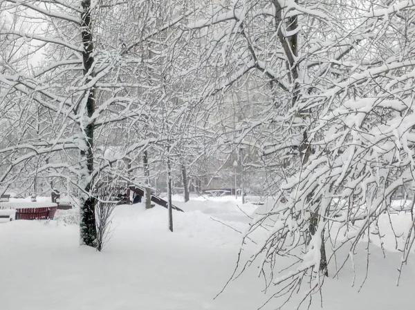 Parque da cidade após a queda de neve no dia — Fotografia de Stock