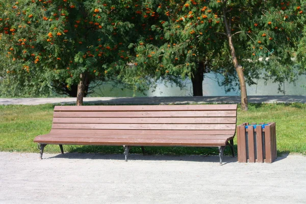 Bench at dry sunny day — Stock Photo, Image