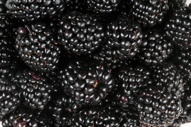 bir sürü BlackBerry