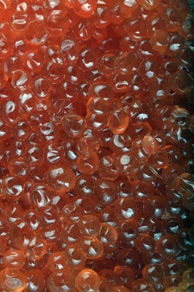 Caviar rojo al día — Foto de Stock