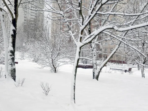 Parc municipal après les chutes de neige le jour — Photo