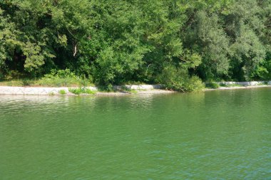 Şehir parkında yaz