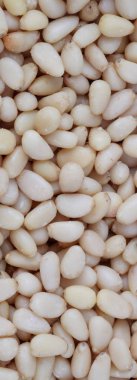 Bir sürü sedir fıstığı.