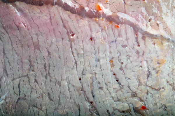 Carne de presunto como fundo alimentar — Fotografia de Stock